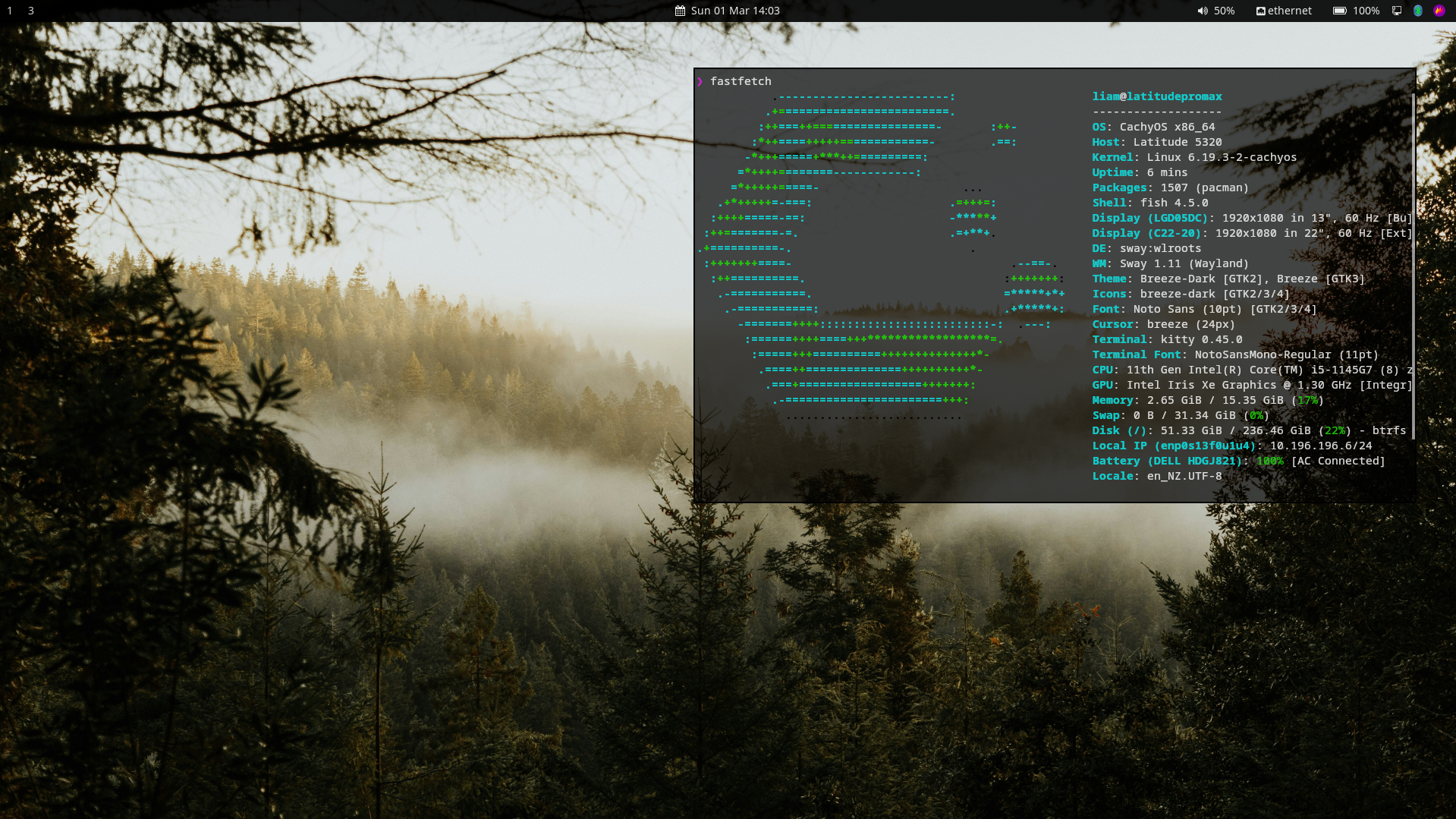 fastfetch screenshot